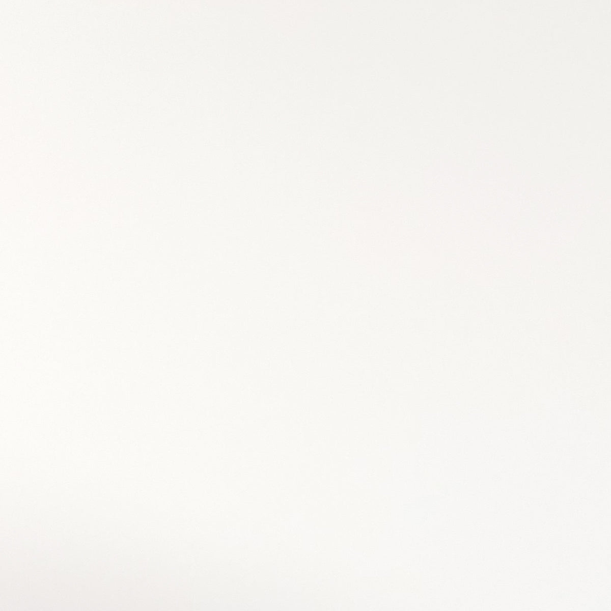 White Ceramic Swatch