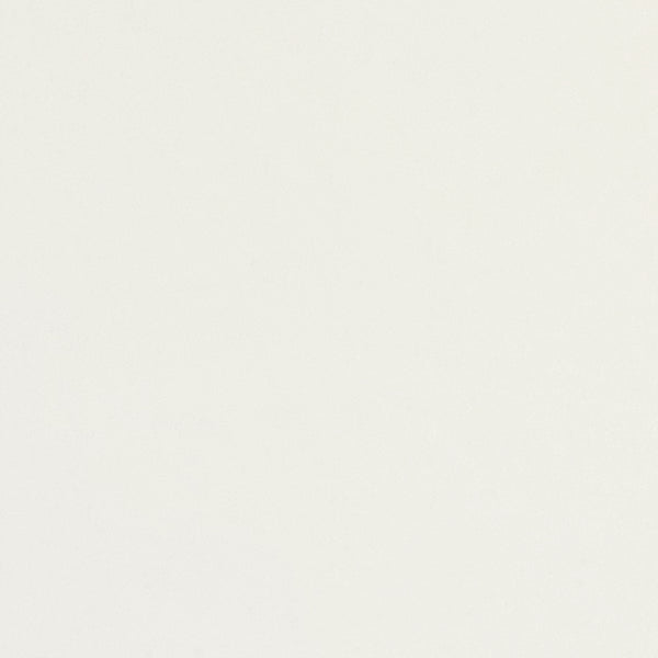 White Metal Swatch