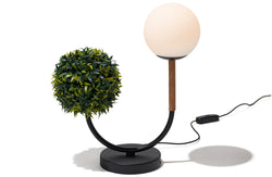 Verdo Table Lamp - 
