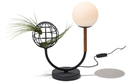 Verdo Table Lamp - 
