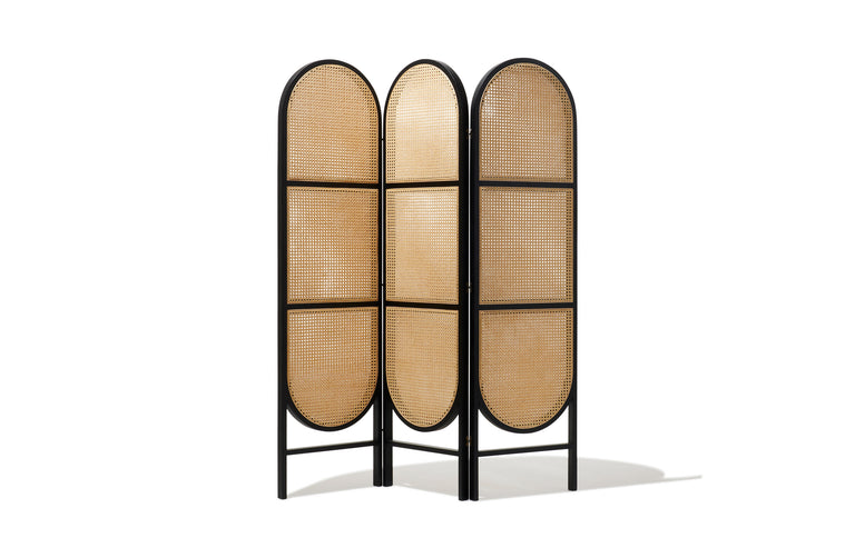 Cane Partition