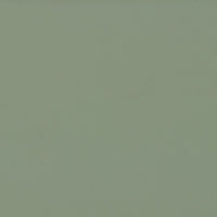 Matcha 5665U Plastic Swatch
